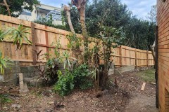 Timber-Hardwood-Paling-Fence-Sawtell